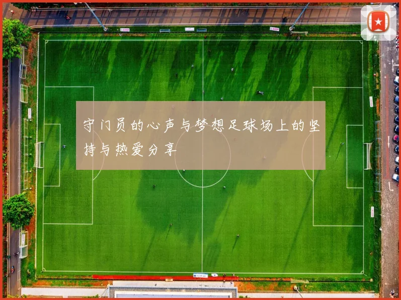 守门员的心声与梦想足球场上的坚持与热爱分享