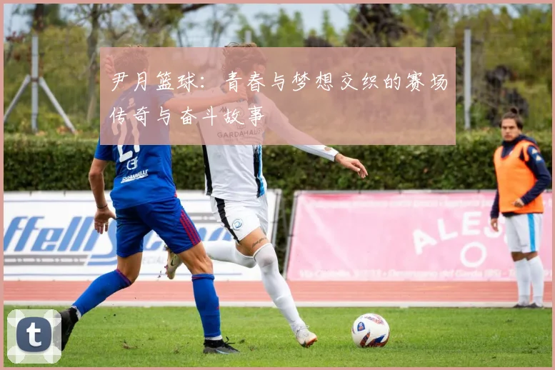 尹月篮球：青春与梦想交织的赛场传奇与奋斗故事