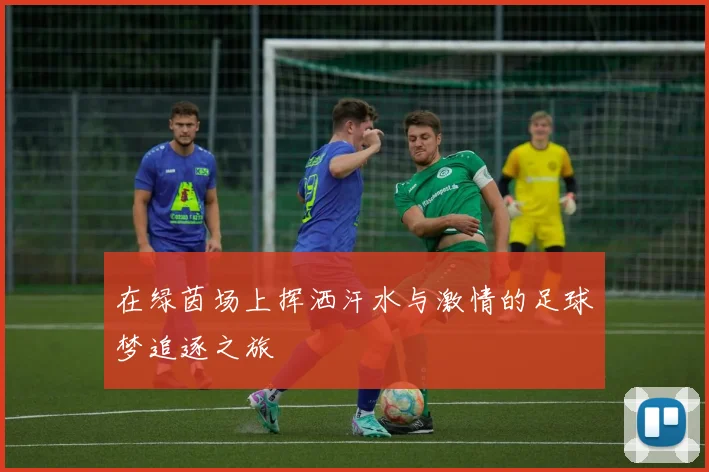 在绿茵场上挥洒汗水与激情的足球梦追逐之旅