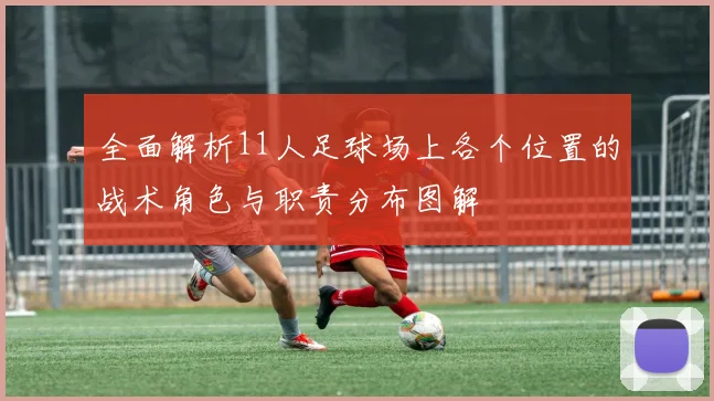 全面解析11人足球场上各个位置的战术角色与职责分布图解