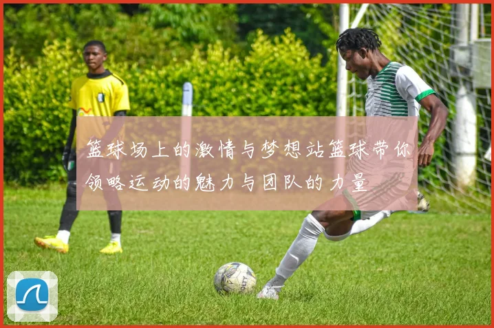 篮球场上的激情与梦想站篮球带你领略运动的魅力与团队的力量