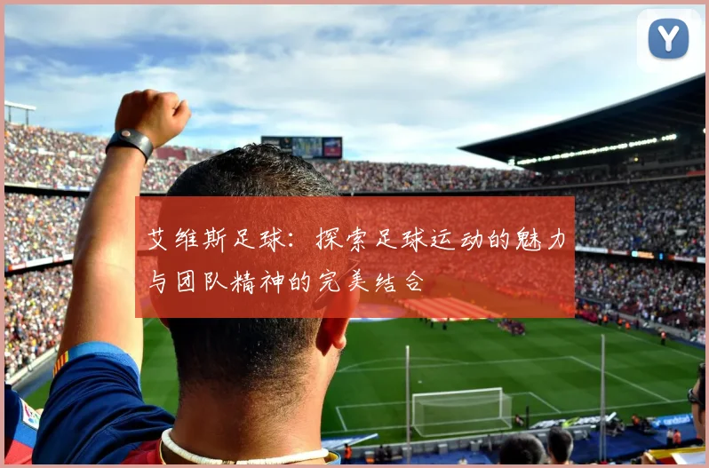 艾维斯足球：探索足球运动的魅力与团队精神的完美结合