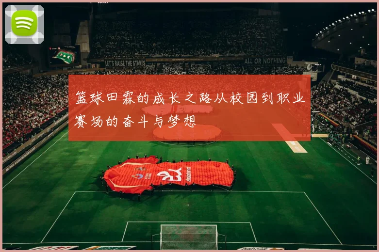 篮球田霖的成长之路从校园到职业赛场的奋斗与梦想